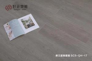 绿巨人影院免费版下载地板 | 居家生活，百看不腻